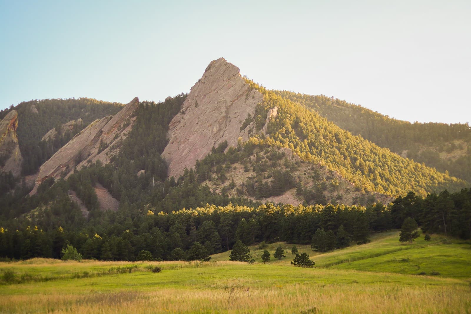 The Flatirons rising above a meadow near Boulder