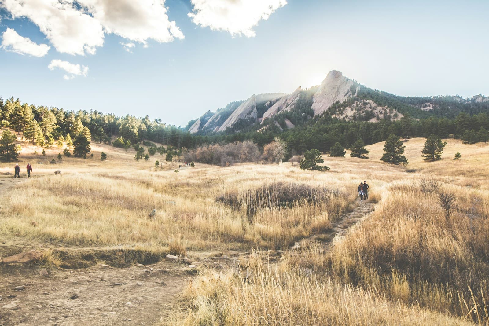 A trail through golden grass toward the Front Range foothills